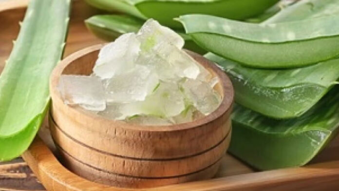 The right way to apply Aloe vera gel on the face