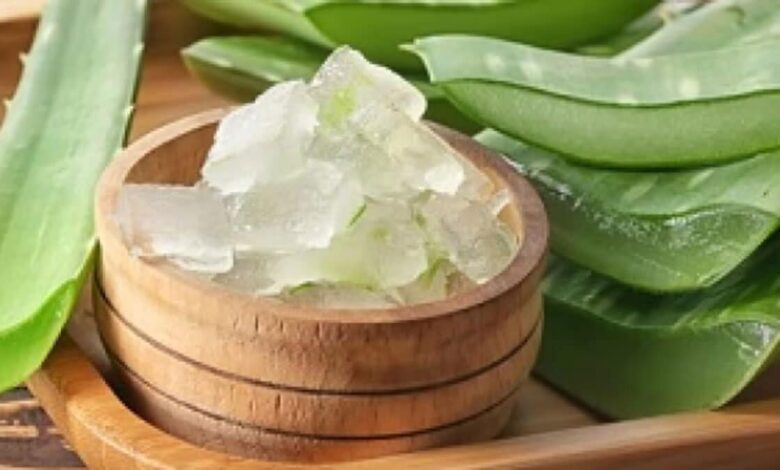 The right way to apply Aloe vera gel on the face