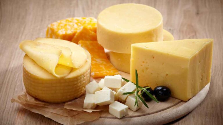 Cheese: इन 9 लोगों को नहीं खाना चाहिए पनीर