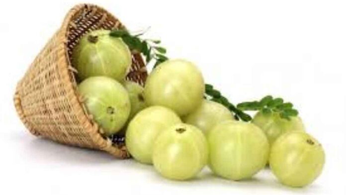 These changes are seen in the body after consuming Amla for 1 month