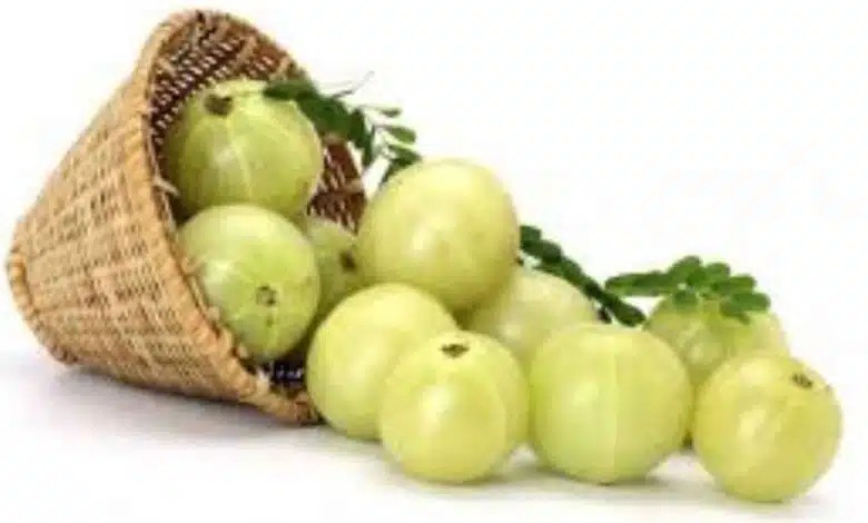 These changes are seen in the body after consuming Amla for 1 month