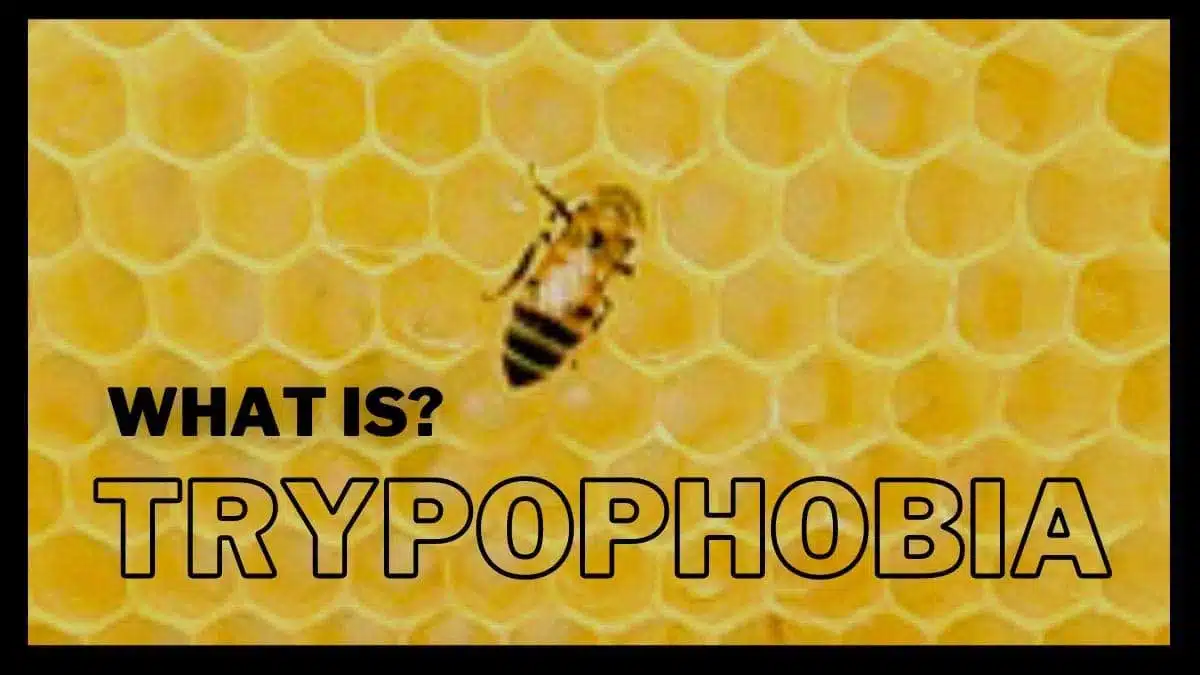 Trypophobia: Are you afraid of holes?