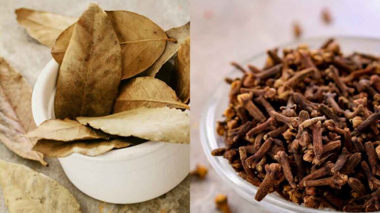 Cloves: तेज पत्ते पर लौंग रखकर जलाने से क्या होता है?