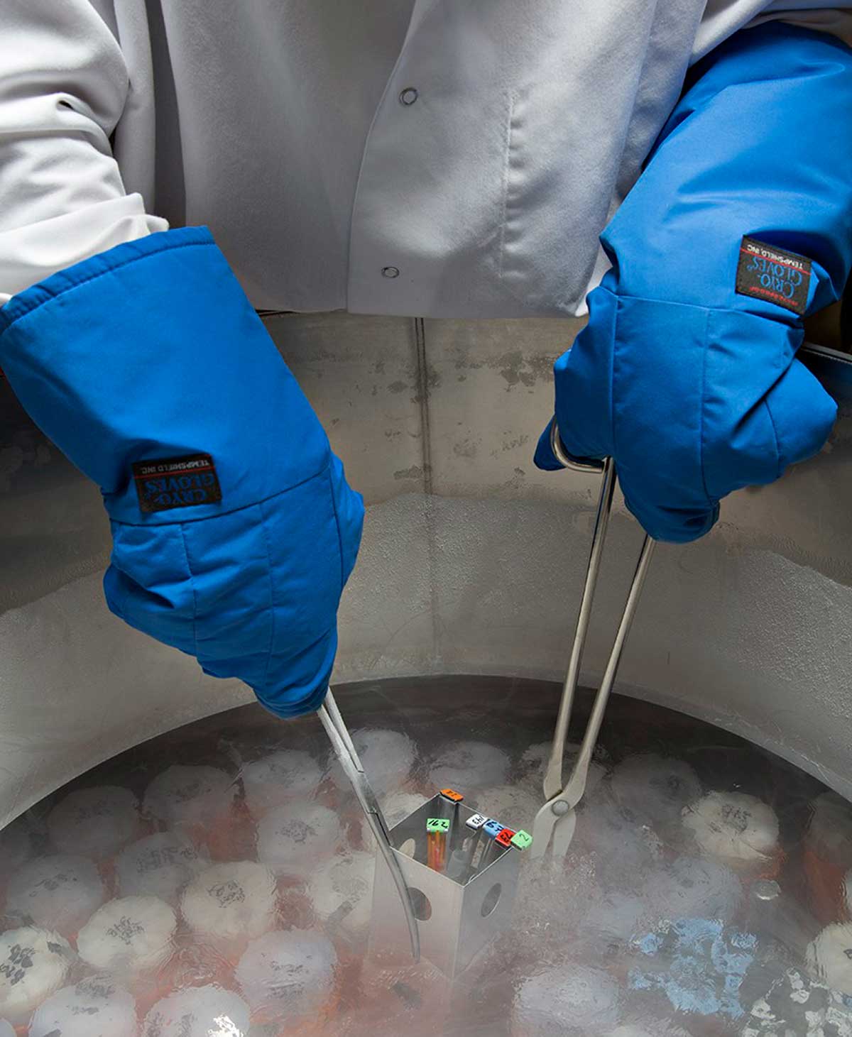 What is Liquid Nitrogen its uses and disadvantages