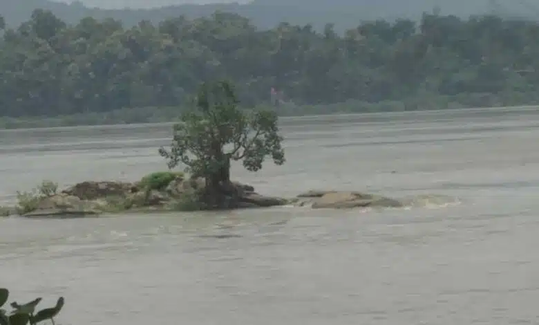 water level of the Brahmaputra river increased due to rain in Assam