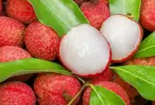 benefits-of-eating-litchi-in-summer