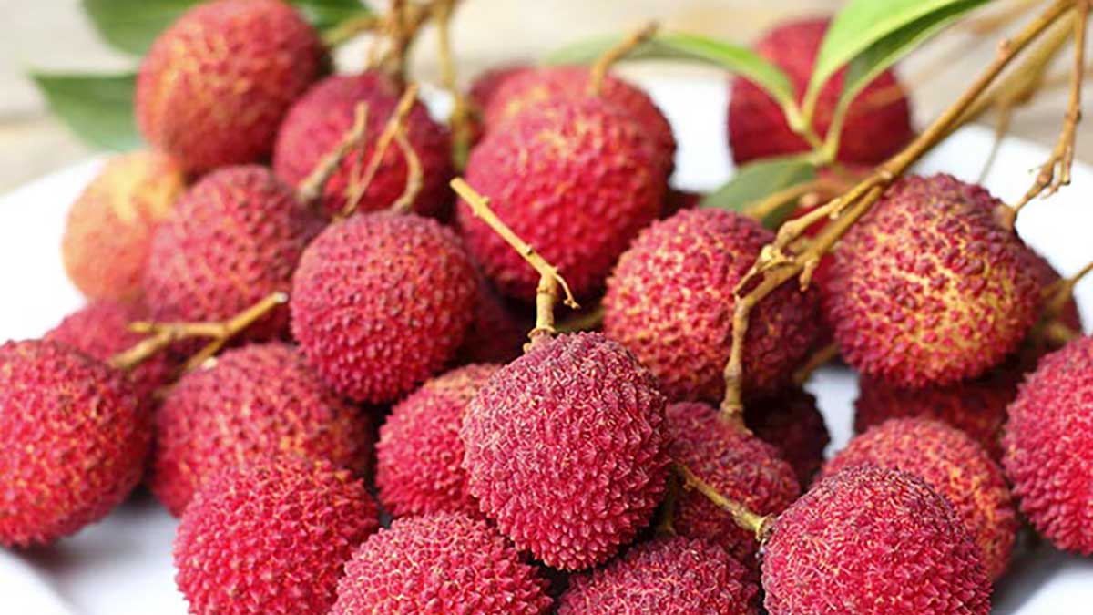 benefits-of-eating-litchi-in-summer