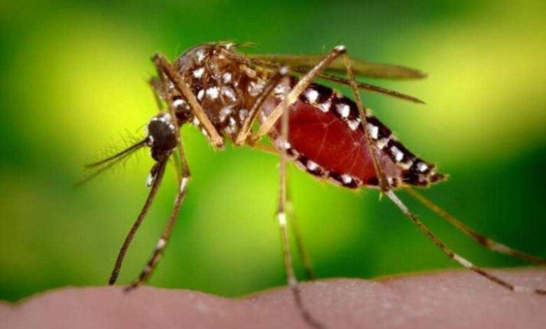 Dengue and typhoid cases on the rise in Telangana