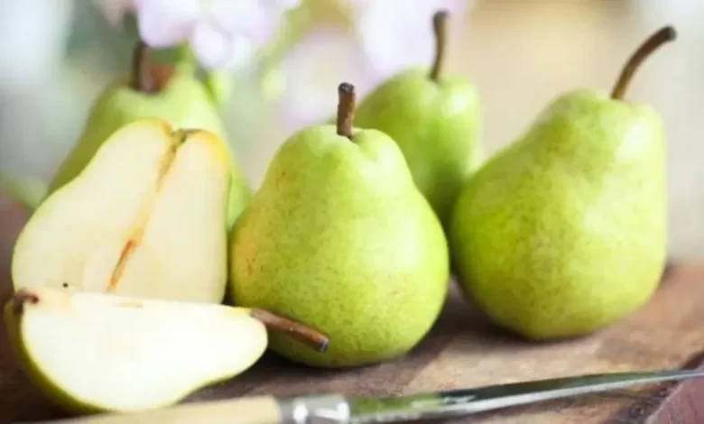 Dengue and typhoid cases on the rise in Telangana