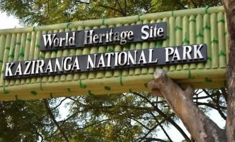 215 animals died due to floods in Kaziranga National Park Assam