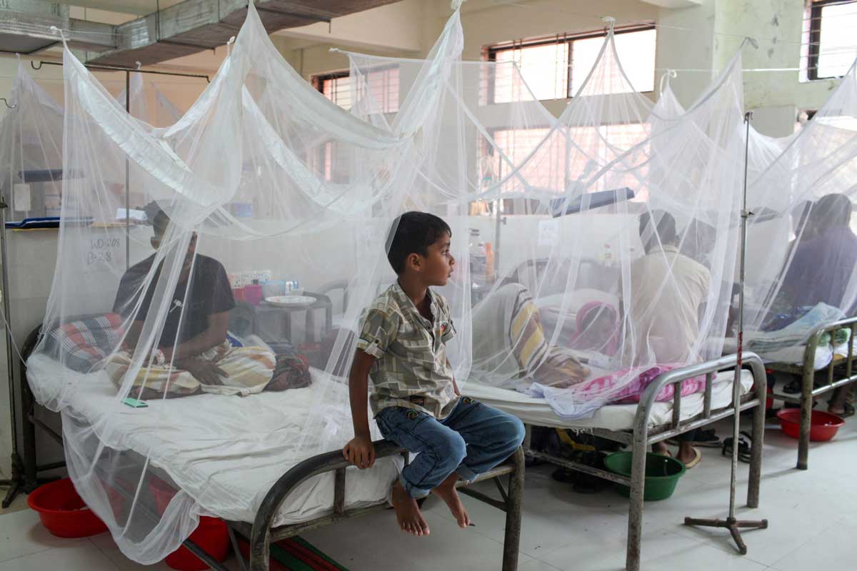 Dengue and typhoid cases on the rise in Telangana