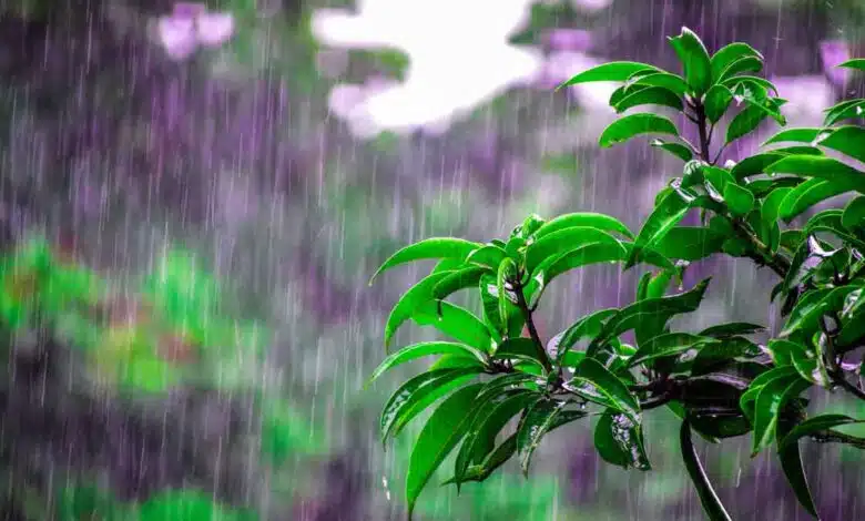 7 retro Films to watch on a rainy day