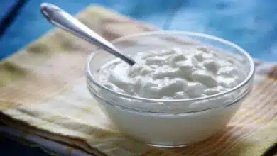 8 curd recipes from different parts of India that Food a try