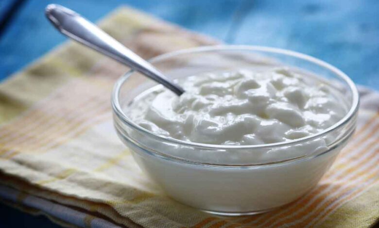 8 curd recipes from different parts of India that Food a try