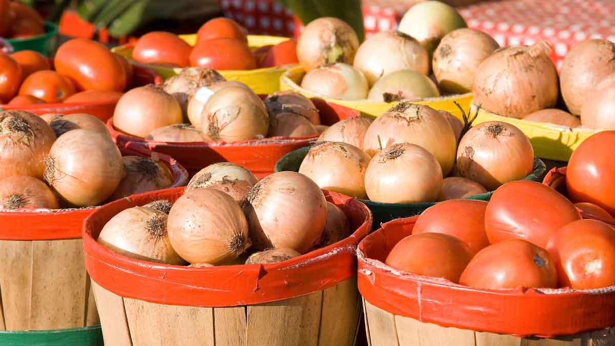 Are you worried about the expensive Onions and Tomatoes Don't worry now, the prices will fall within a week