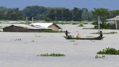 Assam 95 forest camps in Kaziranga National Park submerged due to floods 1