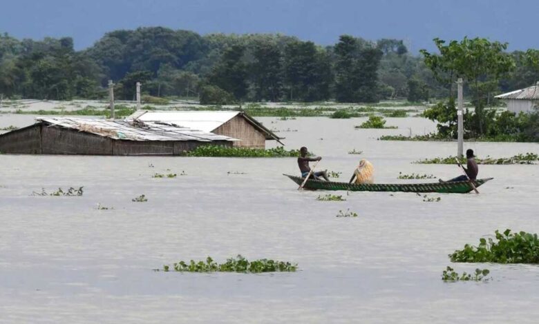 Assam 95 forest camps in Kaziranga National Park submerged due to floods 1