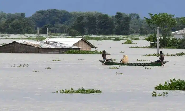 Assam 95 forest camps in Kaziranga National Park submerged due to floods 1