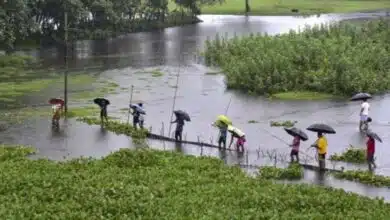 Assam Governor said more people were killed in floods this year