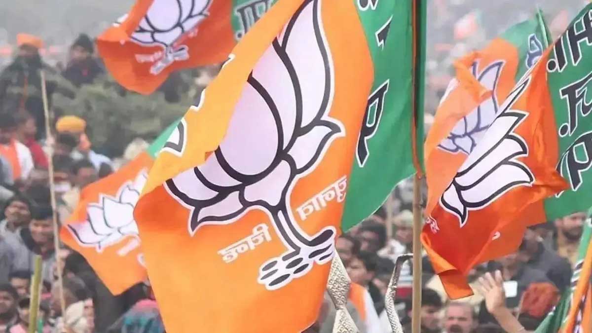 BJP will appoint new national president by December