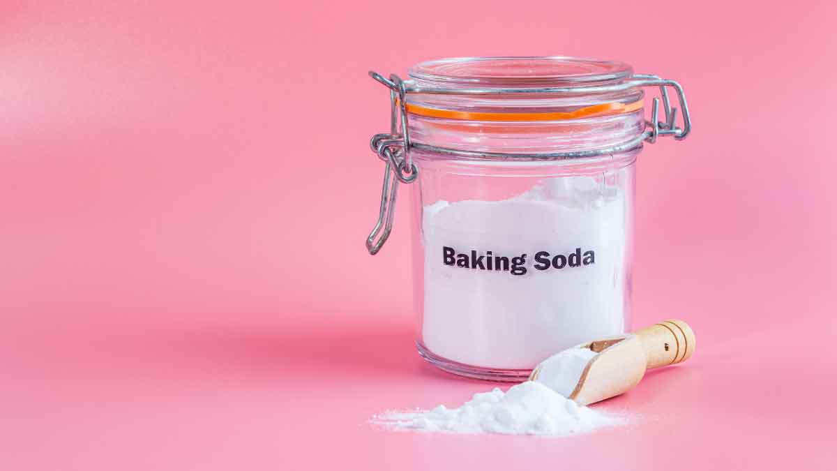 Baking Soda will bring life to plants, plants will become green, follow these tips