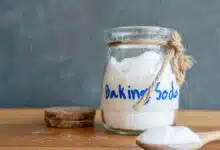 Baking Soda will bring life to plants, plants will become green, follow these tips