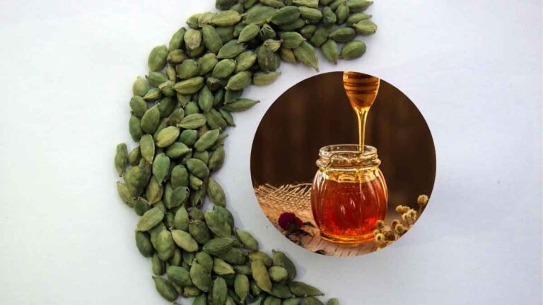 Honey and Cardamom: बॉडी होगी डिटॉक्स और त्वचा बनेगी क्लियर