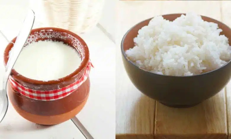Curd with Rice or curd with roti Which is a healthier option