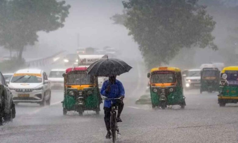 Delhi's weather Four days of rain, then humid heat