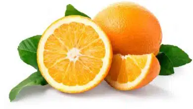 Drinking Sweet Lime juice has these 10 health benefits