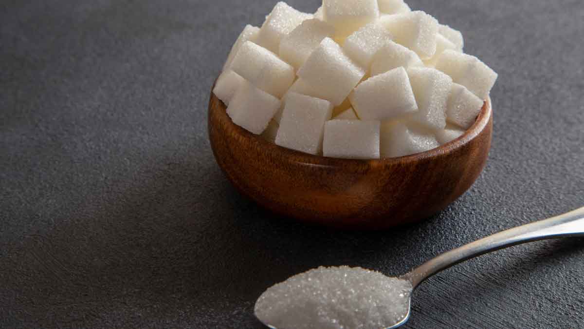 Eating Curd with sugar vs curd with salt Which is healthier 