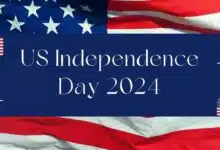 Fireworks light up DC skies on US Independence Day 2024