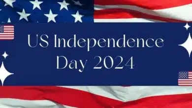 Fireworks light up DC skies on US Independence Day 2024