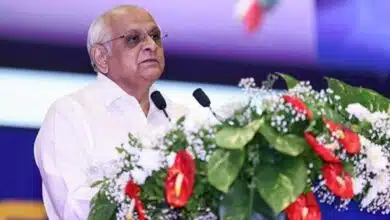 Gujarat CM Bhupendra Patel will celebrate the 75th 'Van Mahotsav' at Harsiddhi Mata Temple