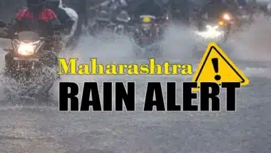 Holiday declared in schools and colleges due to rain in Maharashtra