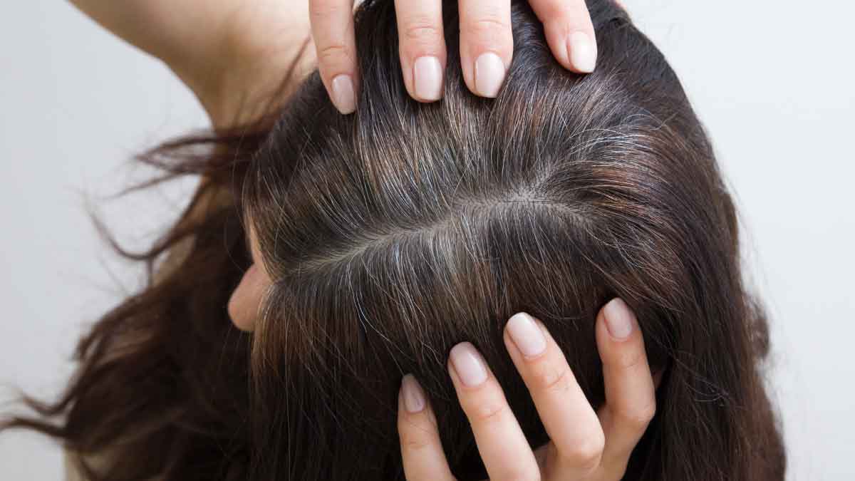 How to make Hair roots strong?