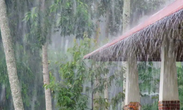If you want relief from the humid heat in the Rain, then make these necessary changes in the house from today