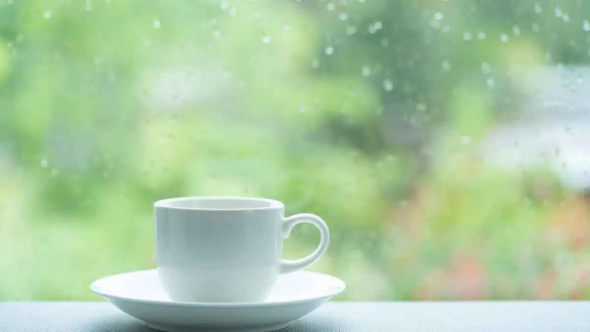 If you want to avoid illness in the rain, just drink a cup of special Tea