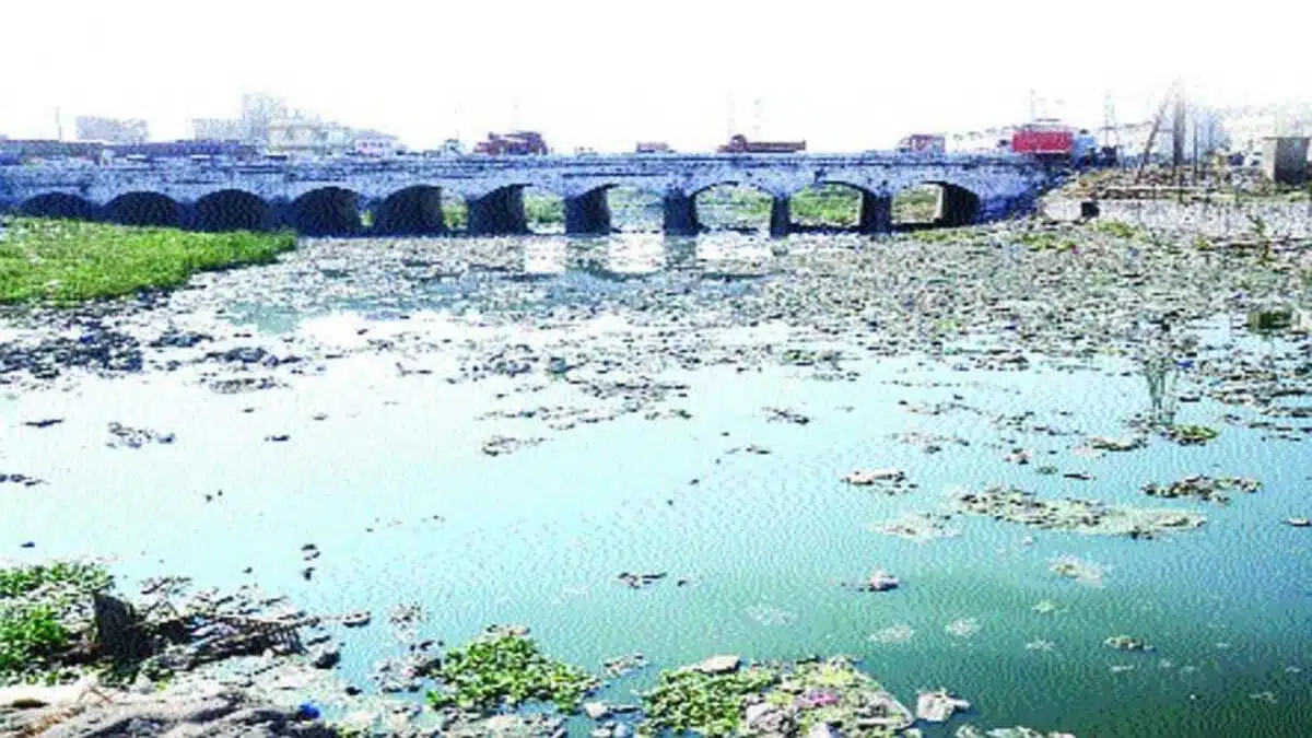 Kamwari river in spate in Maharashtra