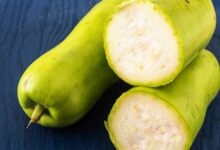 Keep these things in mind while buying Gourd