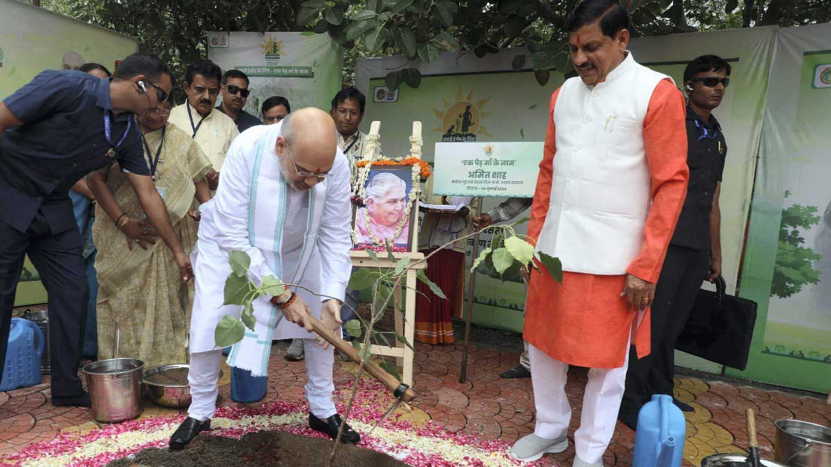 Madhya Pradesh created a Guinness world record by planting more than 12 lakh saplings