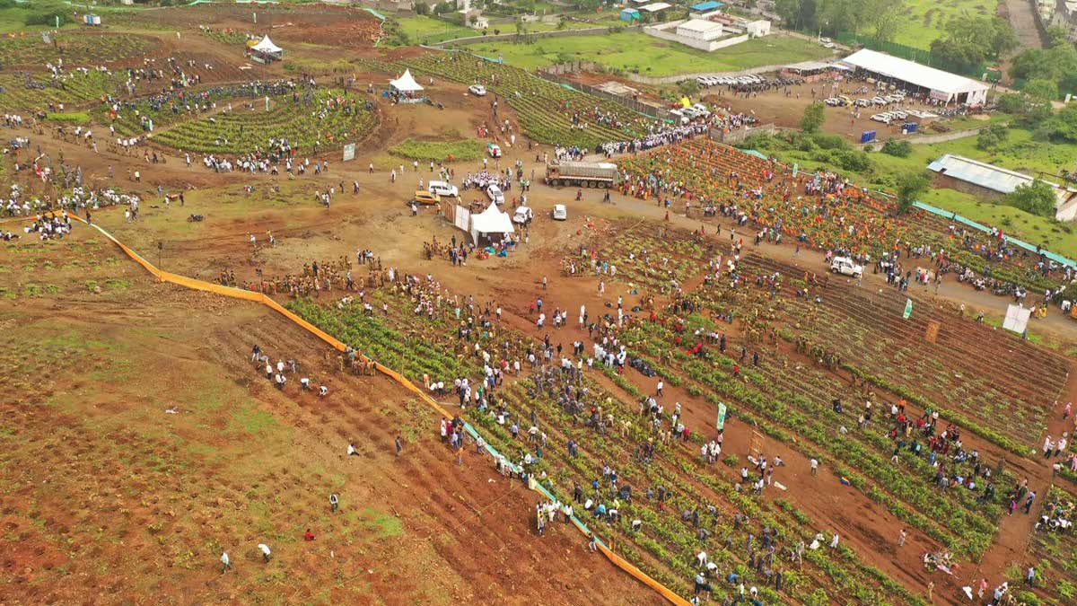 Madhya Pradesh created a Guinness world record by planting more than 12 lakh saplings