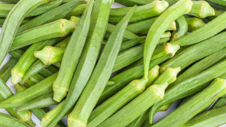 Ladyfinger के साथ भूल कर भी ना खाएं ये 5 चीज़ें