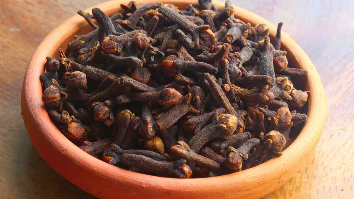 Now don't buy Cloves from the market, grow them at home, know the easy method