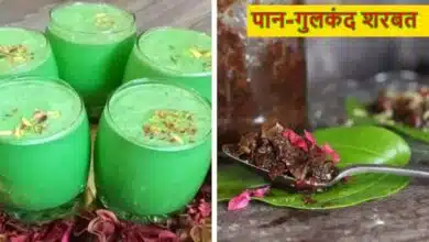 Paan Gulkand Sharbat If you want to avoid heat then make Paan-Gulkand Sharbat, you will get relief from the scorching heat
