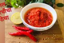 Red Chilli Thecha Thecha made from red chilli and garlic is an alternative to chutney, enhances the taste of food