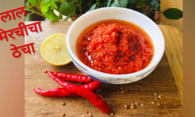 Red Chilli Thecha Thecha made from red chilli and garlic is an alternative to chutney, enhances the taste of food