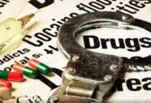 Shimla police busted interstate drug racket