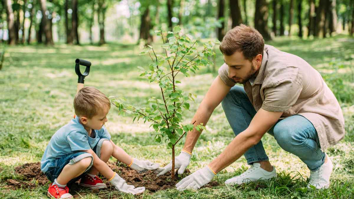 Take special care of trees and plants during the Rainy Season, these tips will come in handy