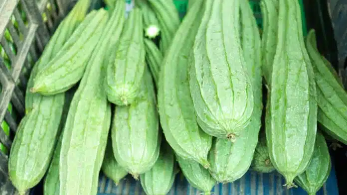 These people should not eat Ridge gourd vegetable, know these 9 disadvantages